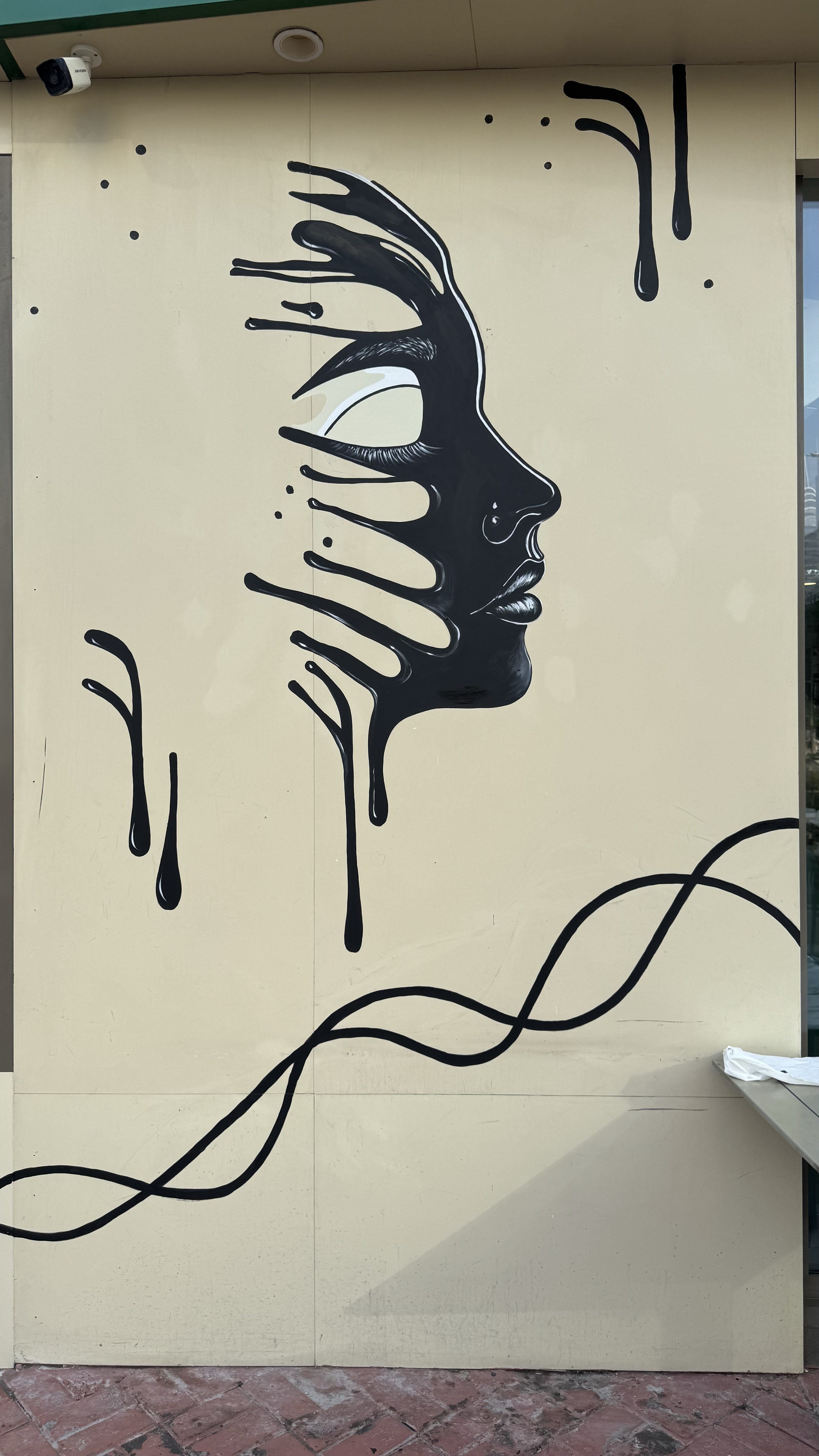 Dripping Face Mural